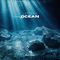 Ocean by LOVEIN album cover