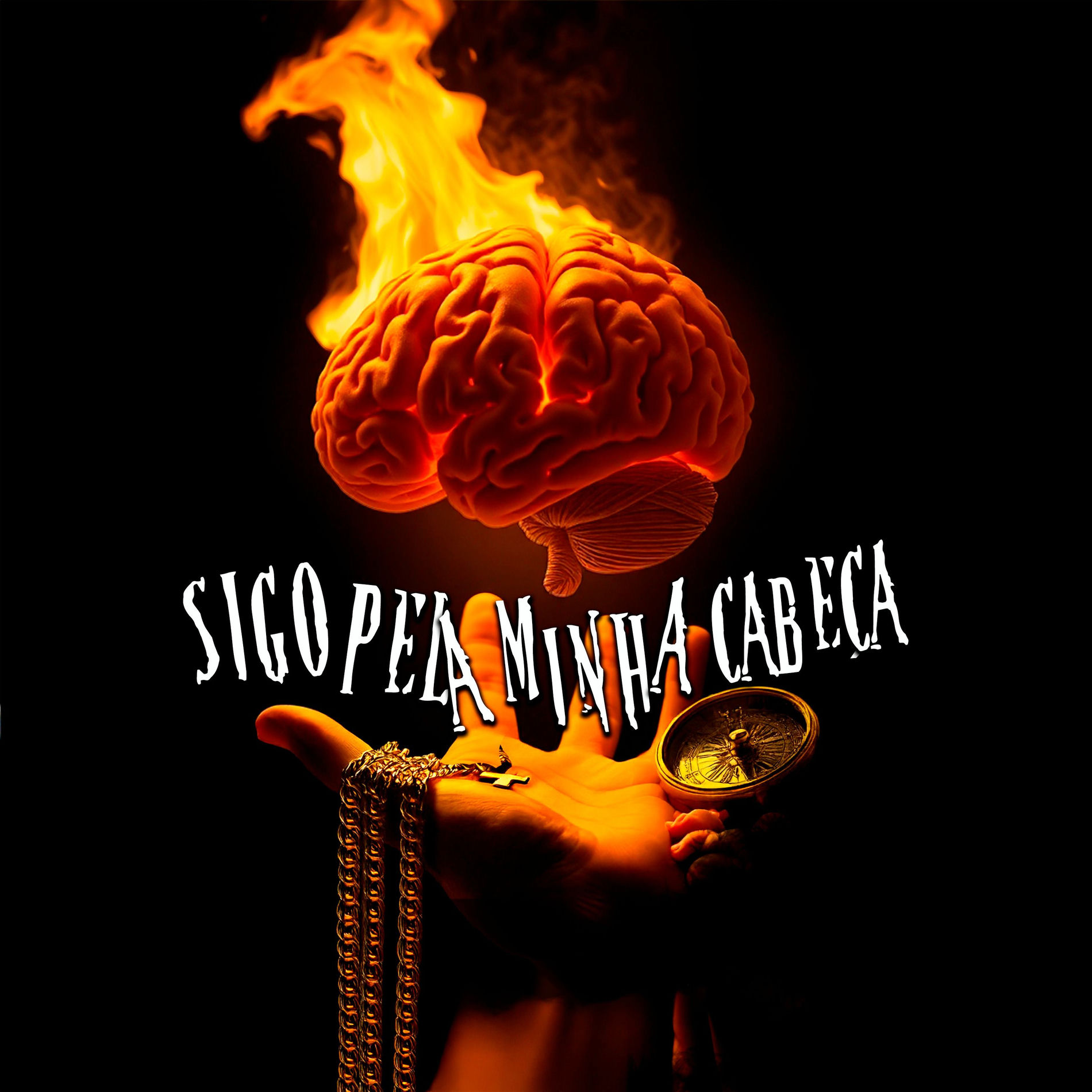 Album cover of Sigo Pela Minha Cabeça