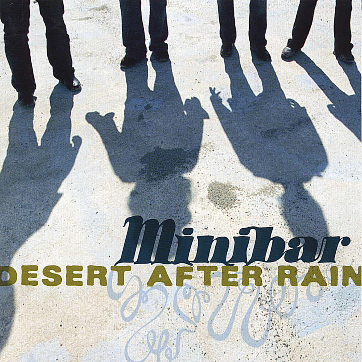 Album cover of Desert After Rain