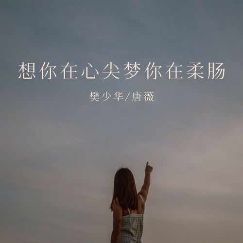 想你在心尖梦你在柔肠