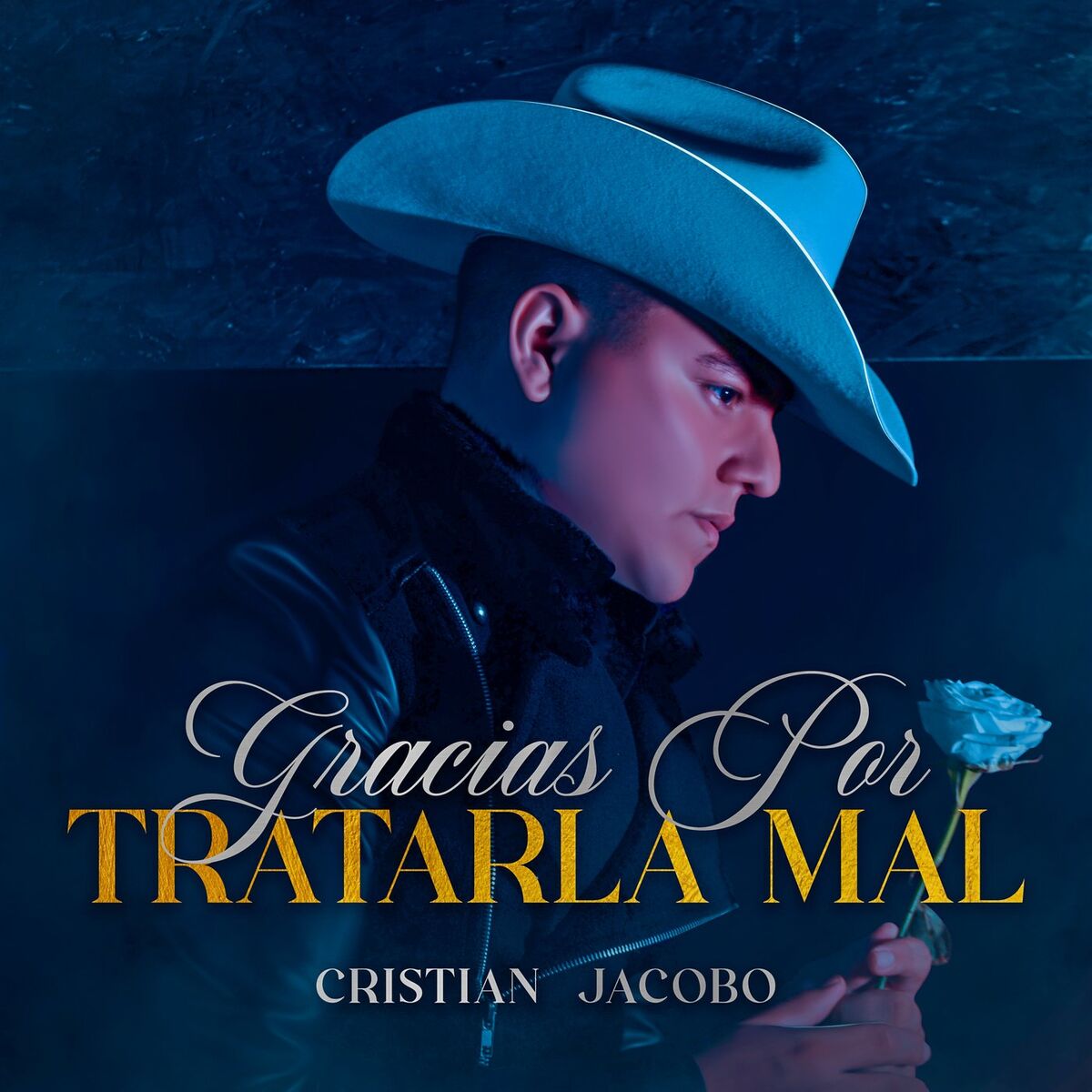 Album cover of Gracias Por Tratarla Mal