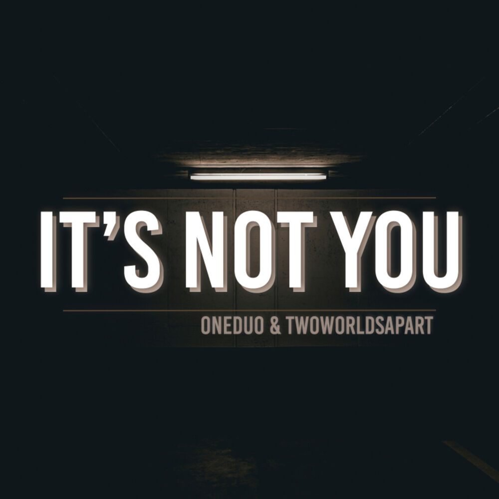 Picture of Its Not You