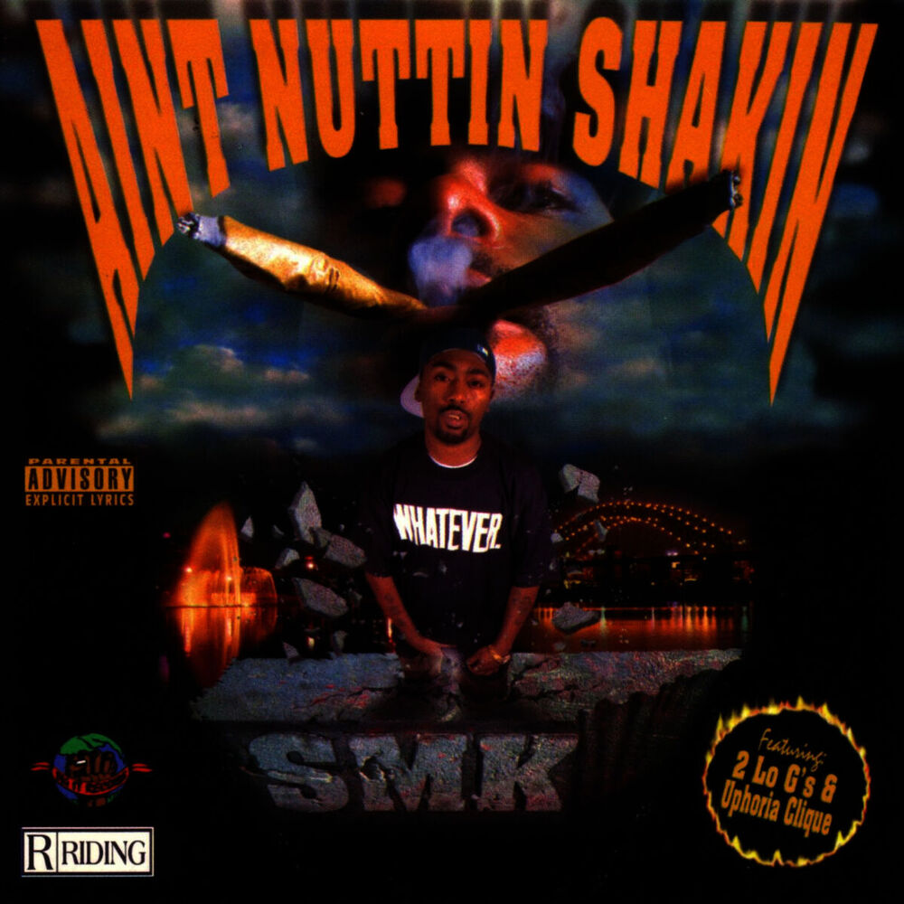Picture of Aint Nuttin Shakin