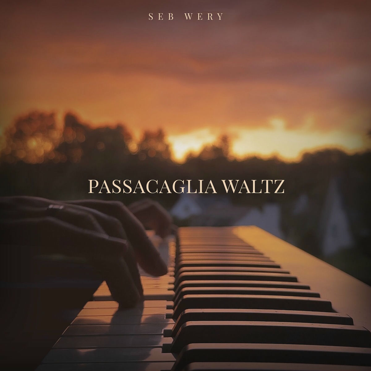 Album cover of Passacaglia Waltz