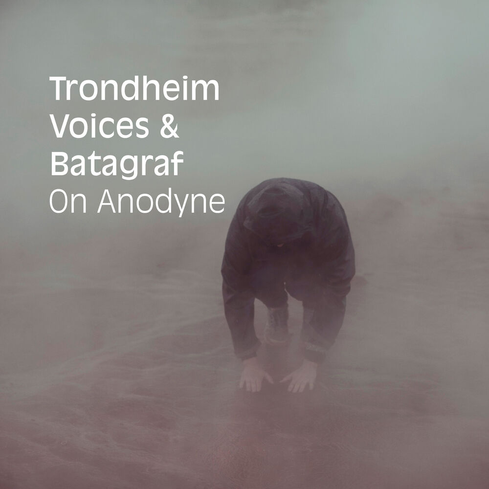 Picture of On Anodyne