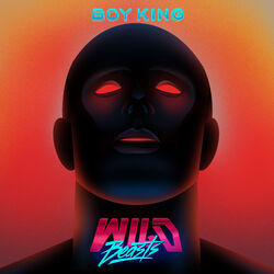 Cover of Boy King