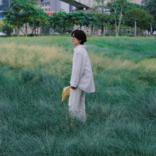 Infp(小蝴蝶)