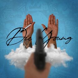 Cover of Die Young