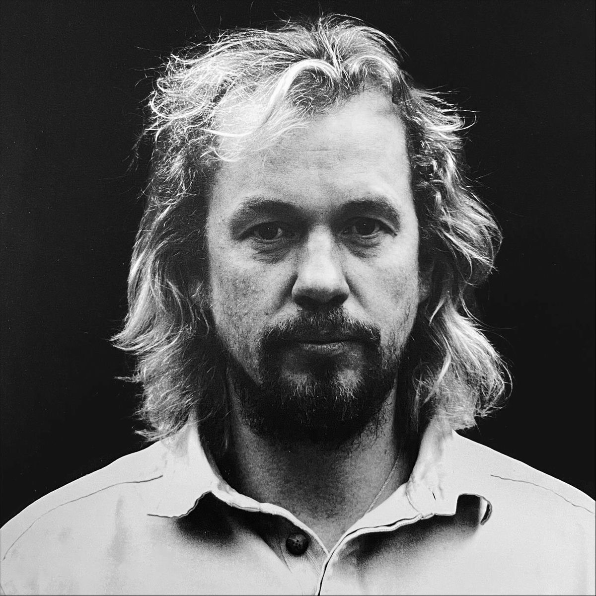 Album cover of Hülgeviga