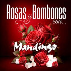 Cover of Rosas Y Bombones Con Mandingo