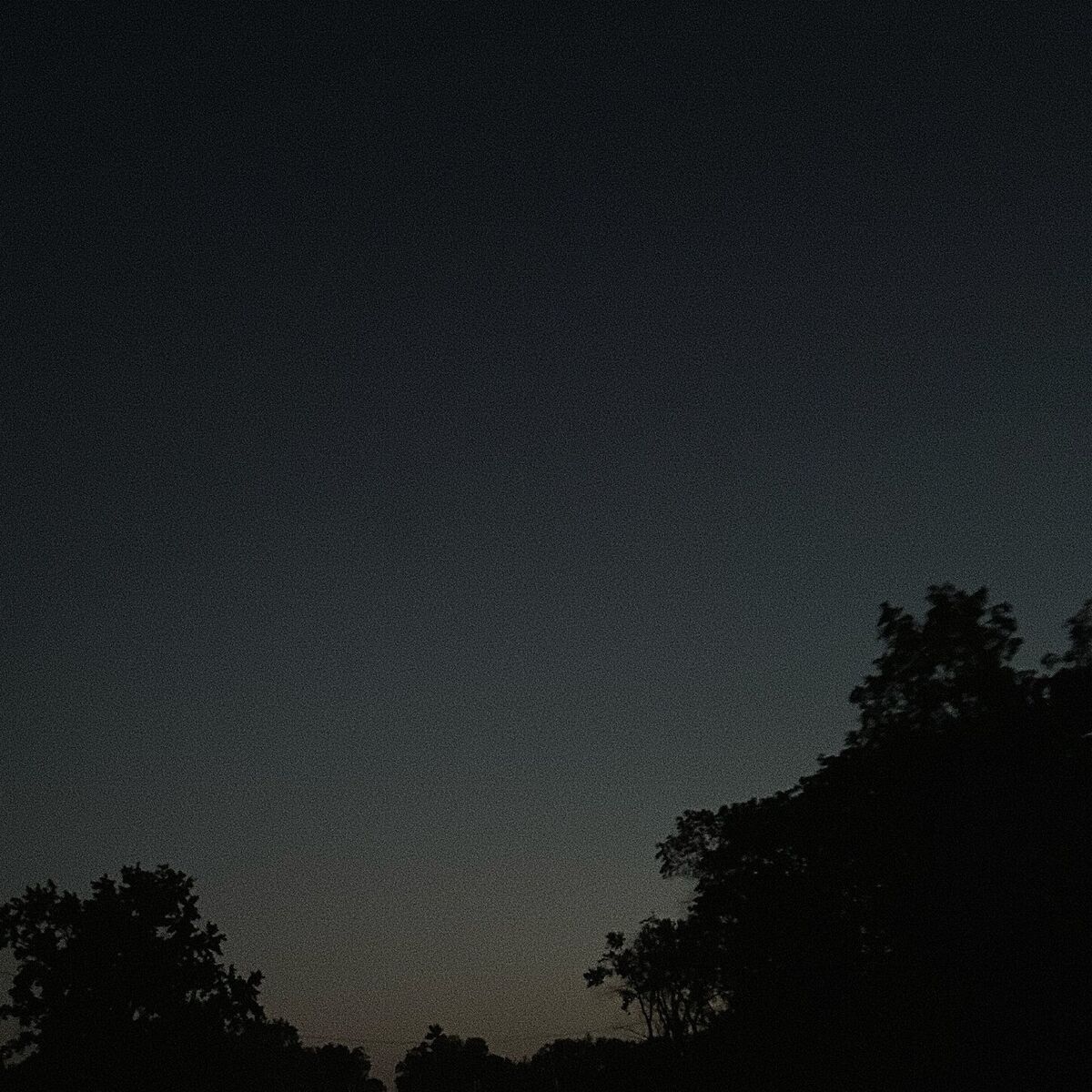 Album cover of still lonely