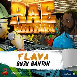 Cover of Flava
