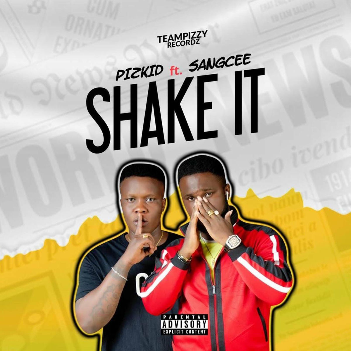 Album cover of Shake it