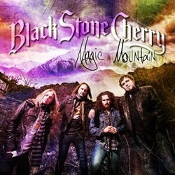 Cover of Magic Mountain