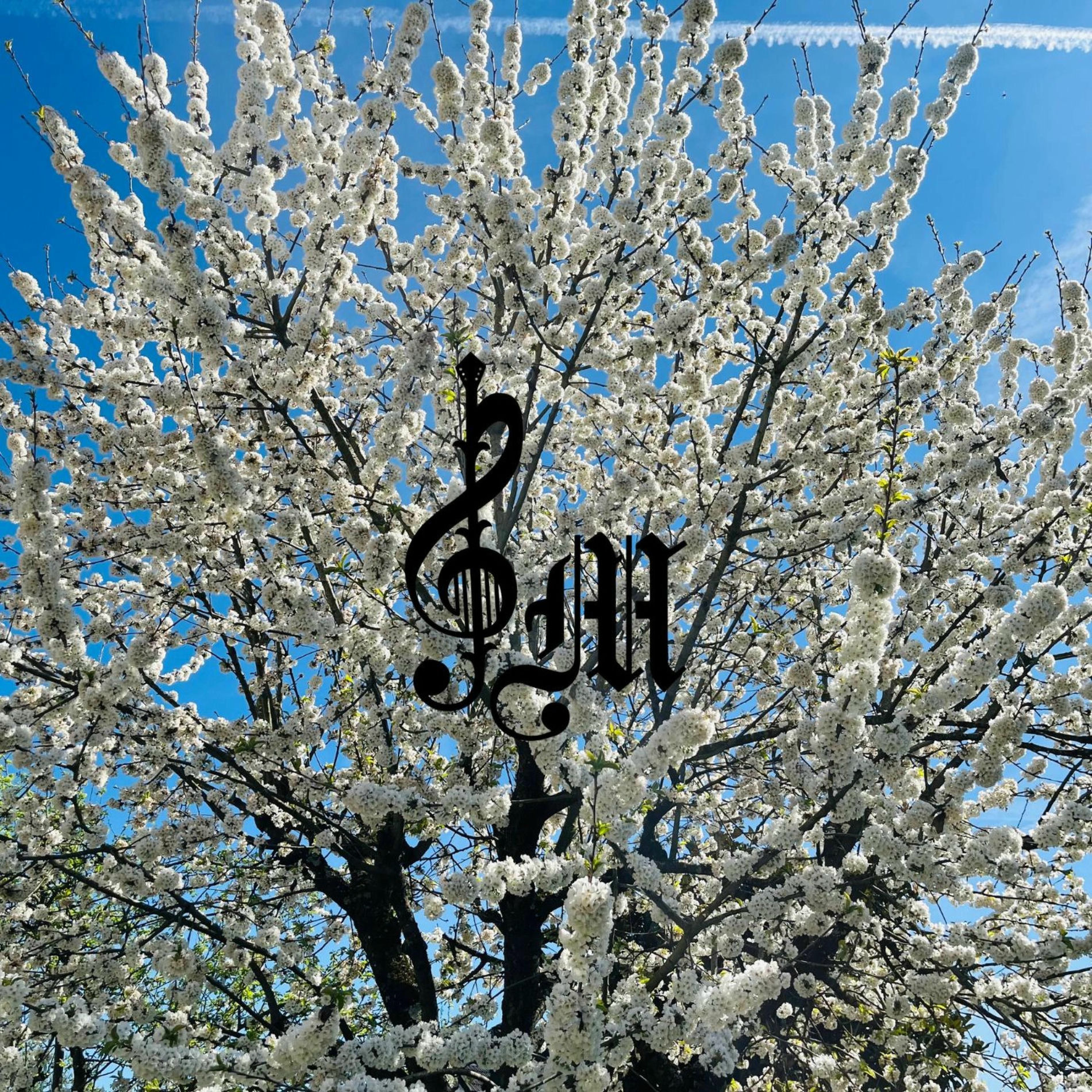 Album cover of Rotsirotsy (feat. Olive)