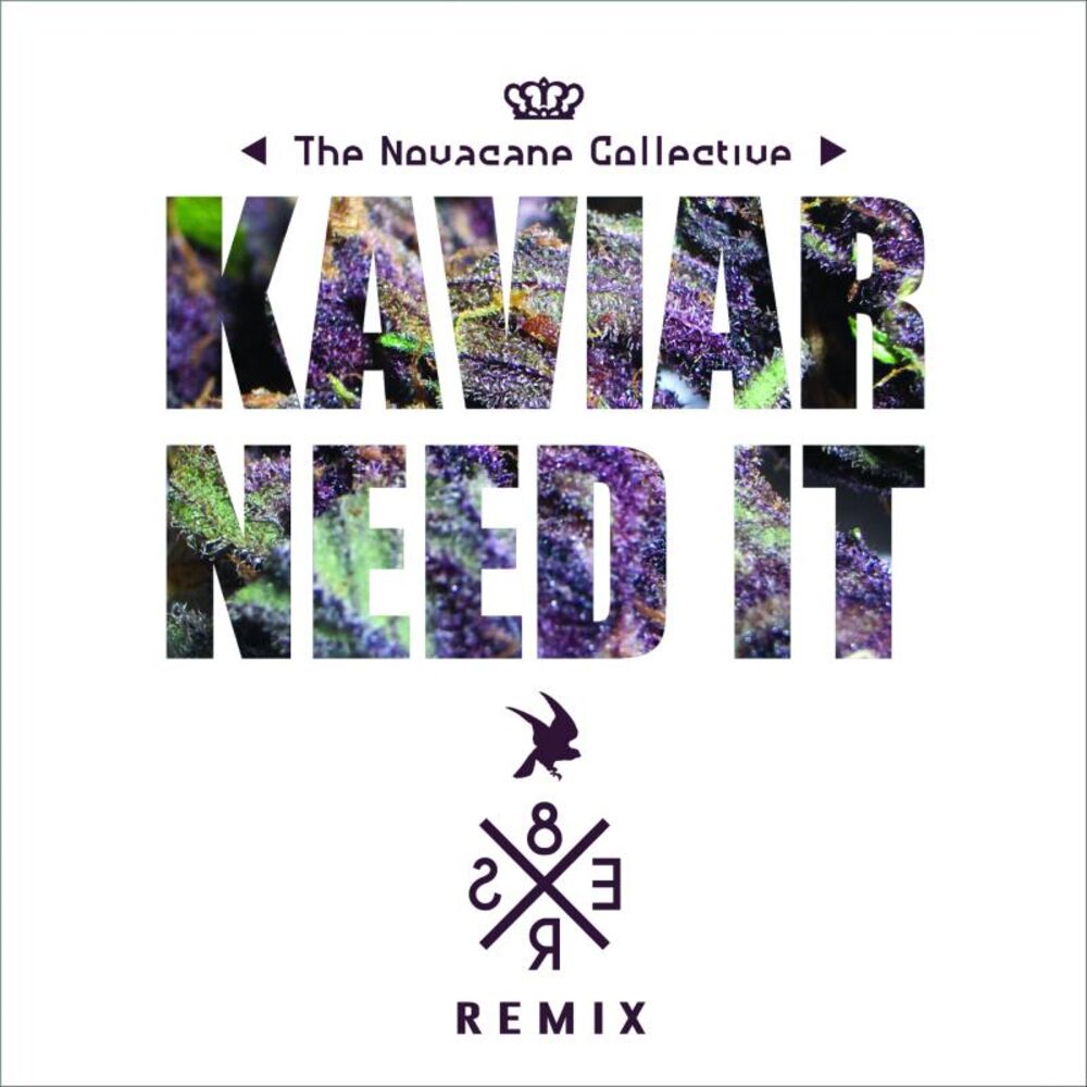 Picture of Need It (8er$ Remix)