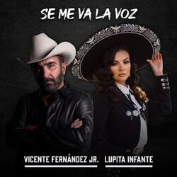 Cover of Se Me Va la Voz