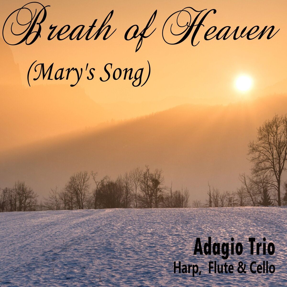Album cover of Breath of Heaven (Mary's Song)