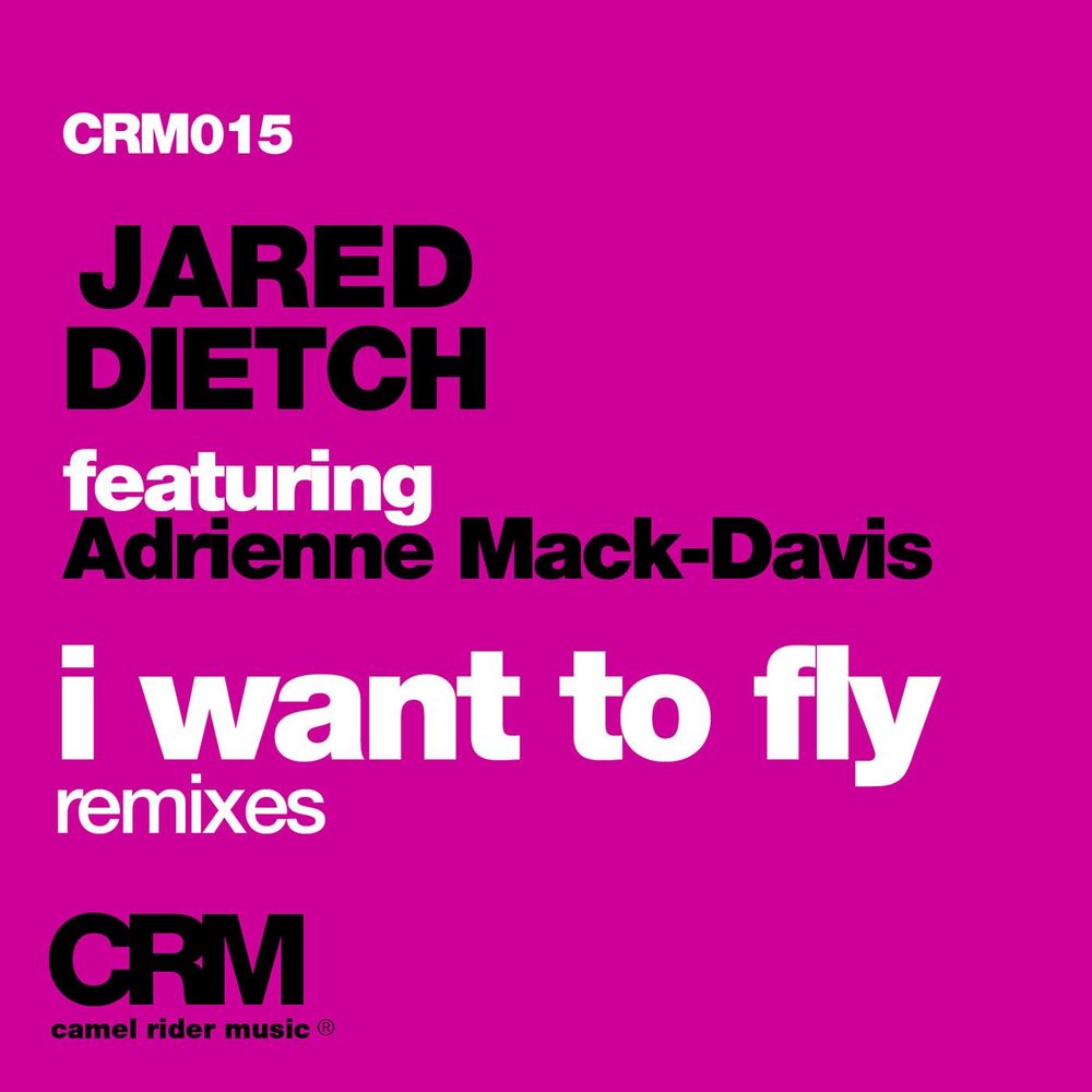 Picture of I Want to Fly, Pt. 2 (feat. Adrienne Mack-Davis) (Remixes)