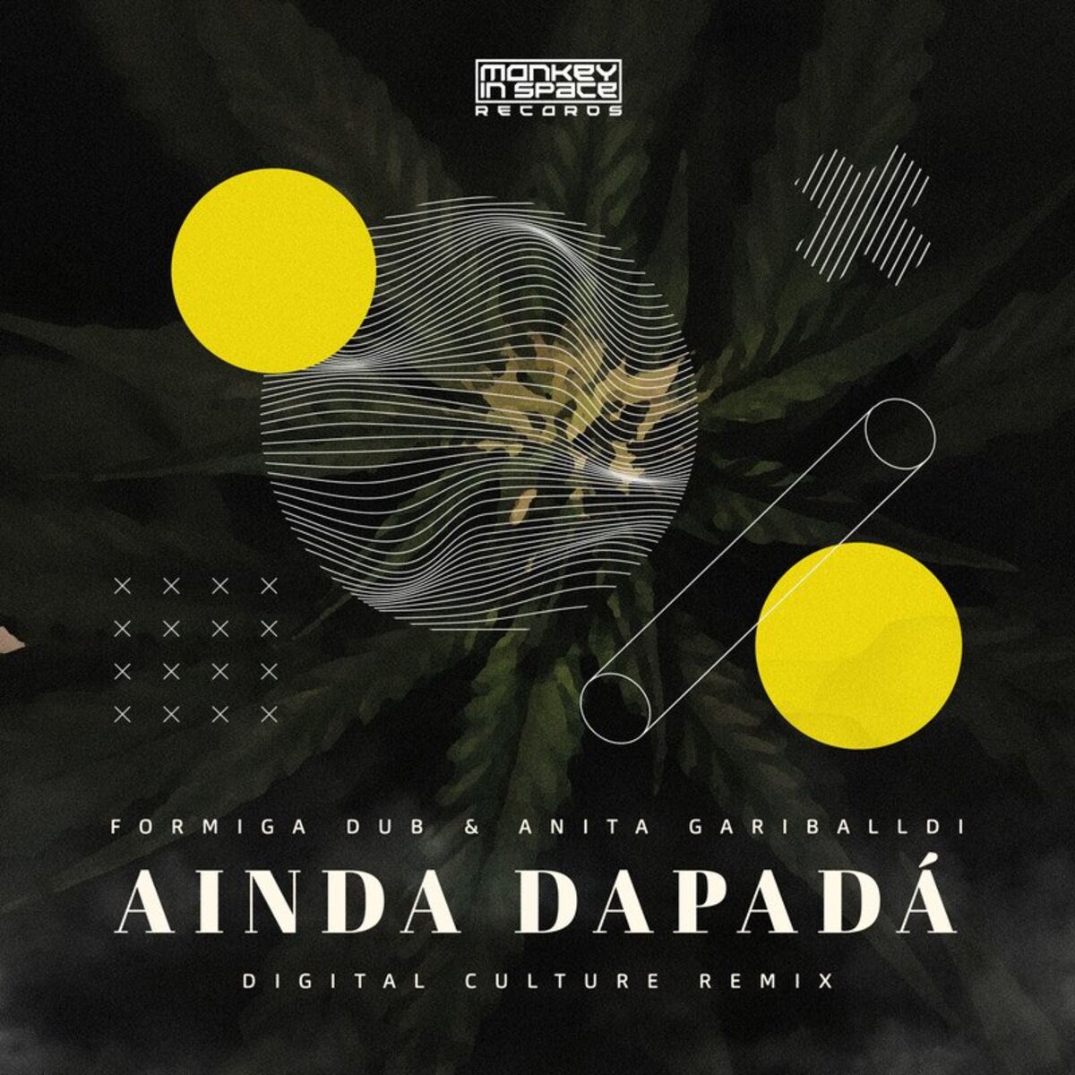Album cover of Ainda Dapadá (Digital Culture Remix)