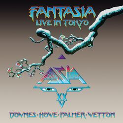 Cover of Fantasia: Live in Tokyo