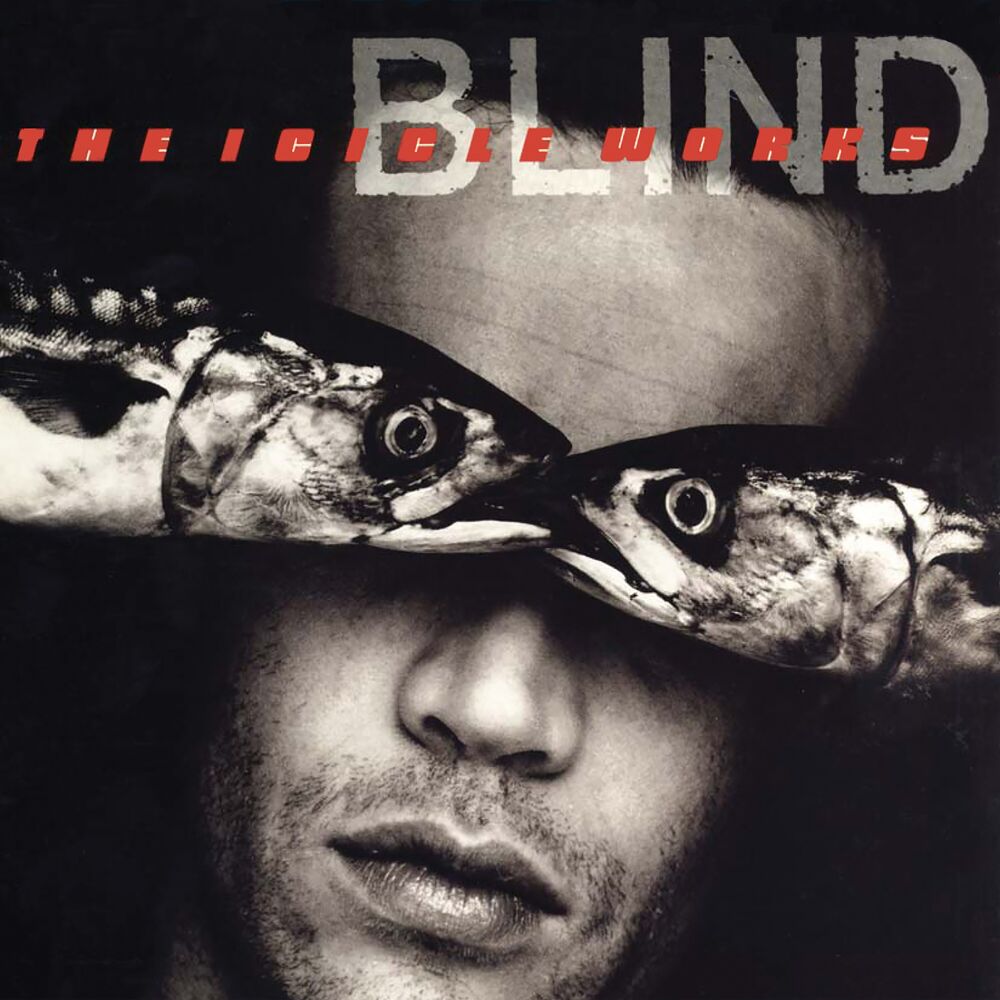 Picture of Blind (Expanded Edition)