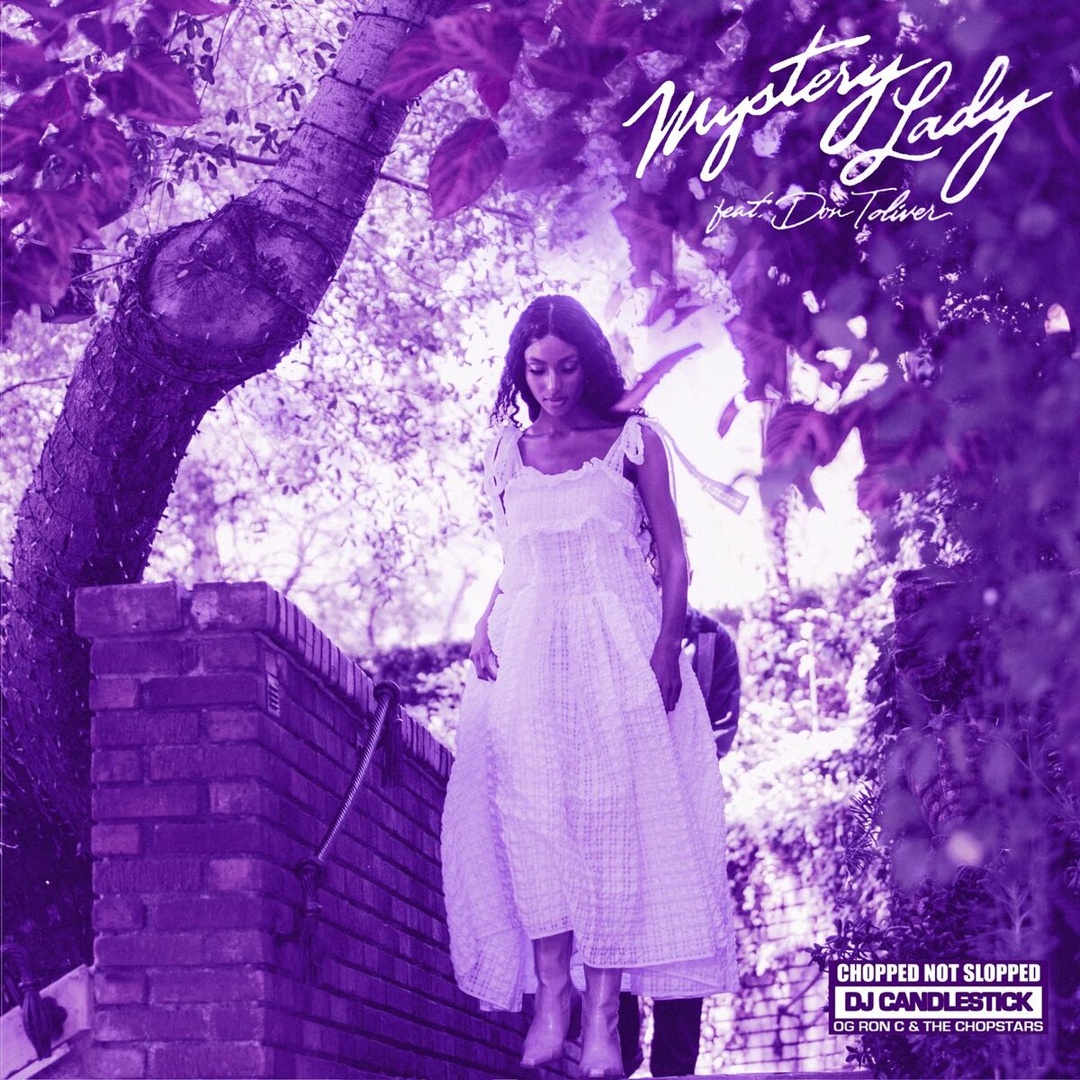 Album cover of Mystery Lady (ChopNotSlop Remix)