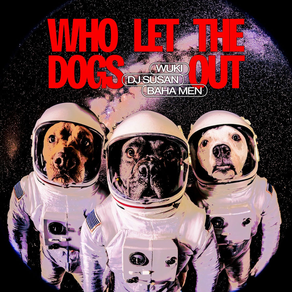 Album cover of WHO LET THE DOGS OUT