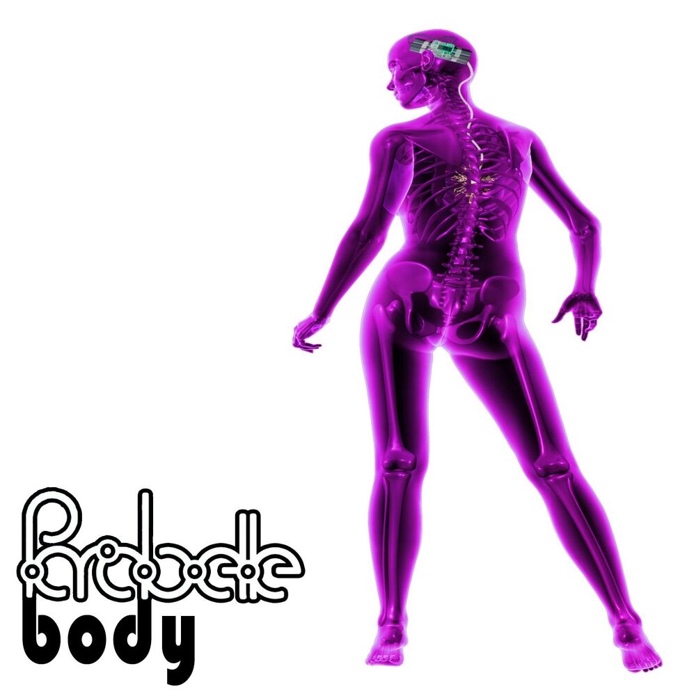 Picture of Body