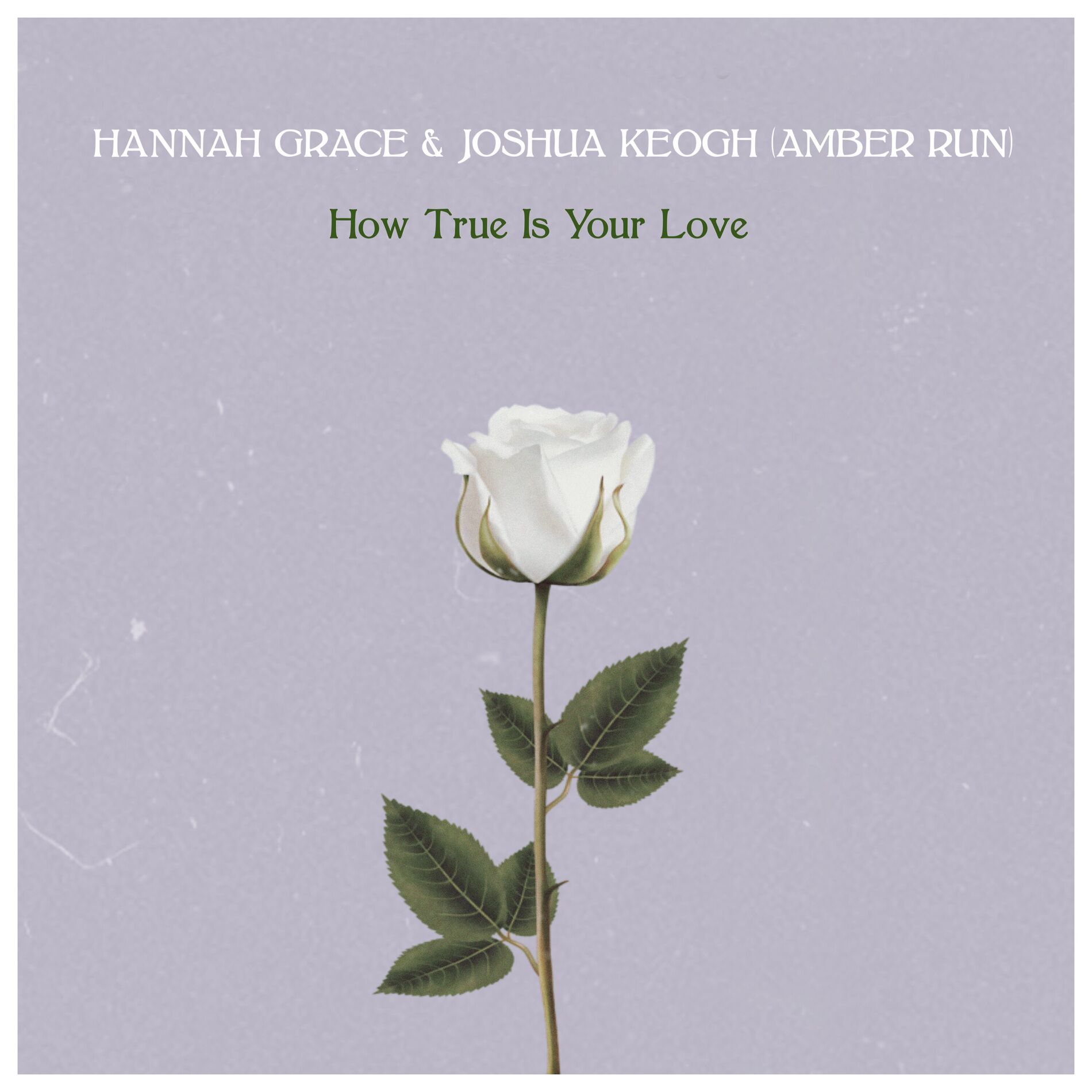 Album cover of How True Is Your Love