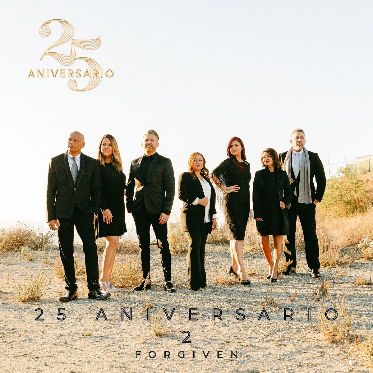 Album cover of 25 Aniversario 2