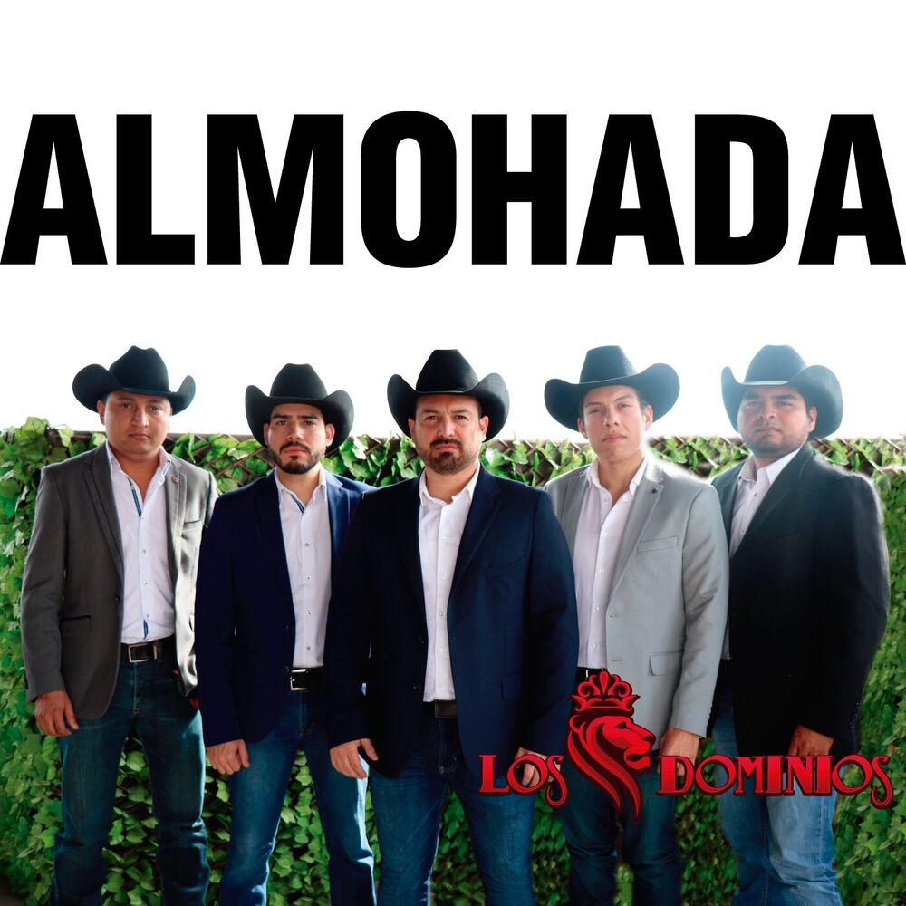 Picture of Almohada