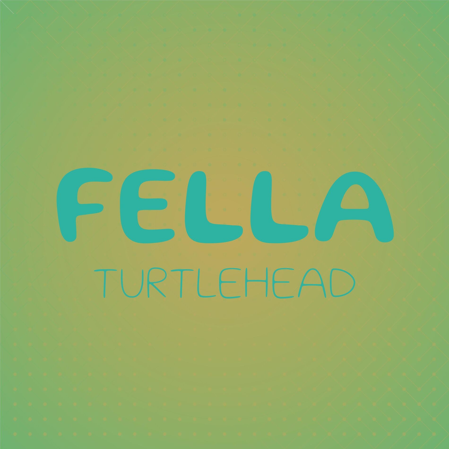 Album cover of Fella Turtlehead