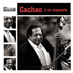 Cover of The Platinum Collection