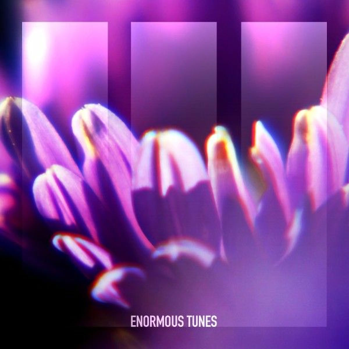 Album cover of Carved in Mosaic