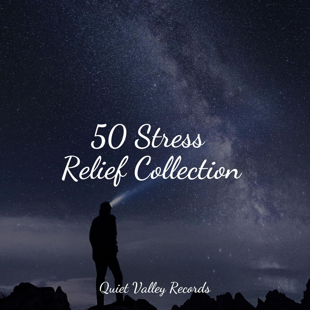Picture of 50 Stress Relief Collection