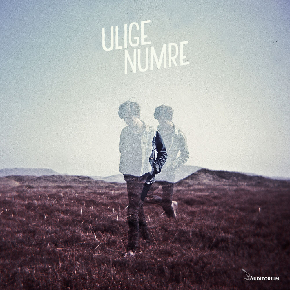 Picture of Ulige Numre
