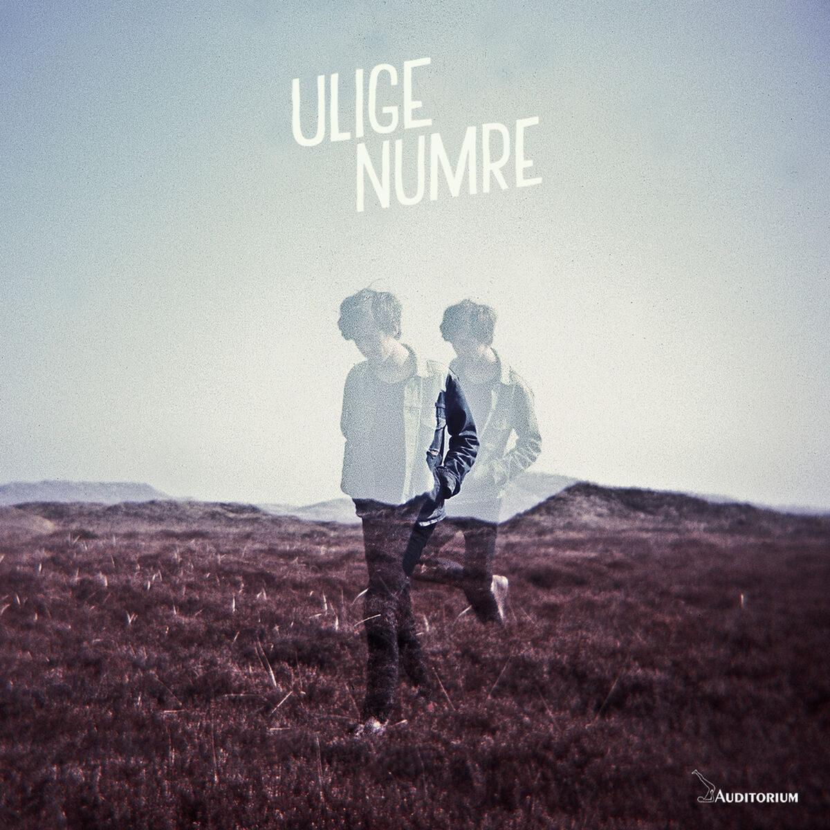 Album cover of Ulige Numre