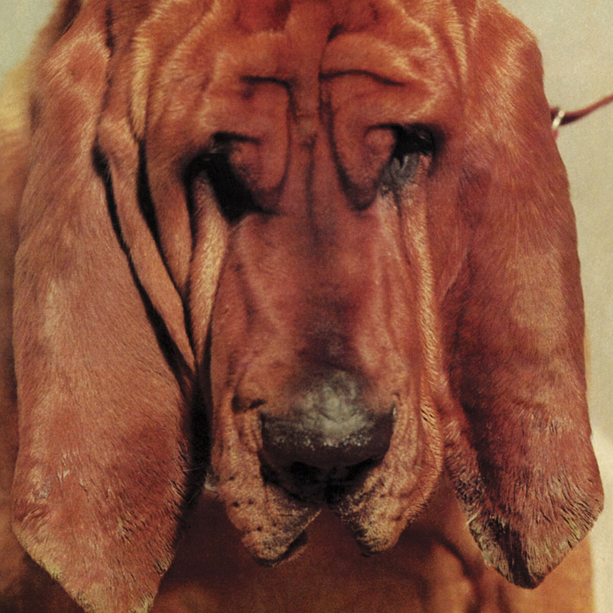 Album cover of Goodbye Bread