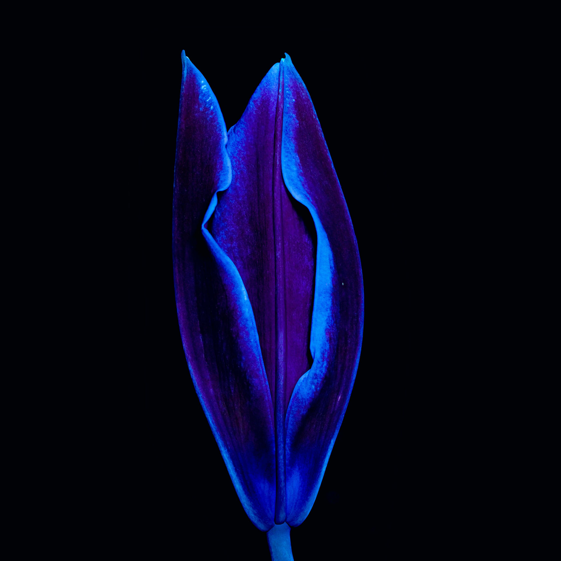 Album cover of Beginnings