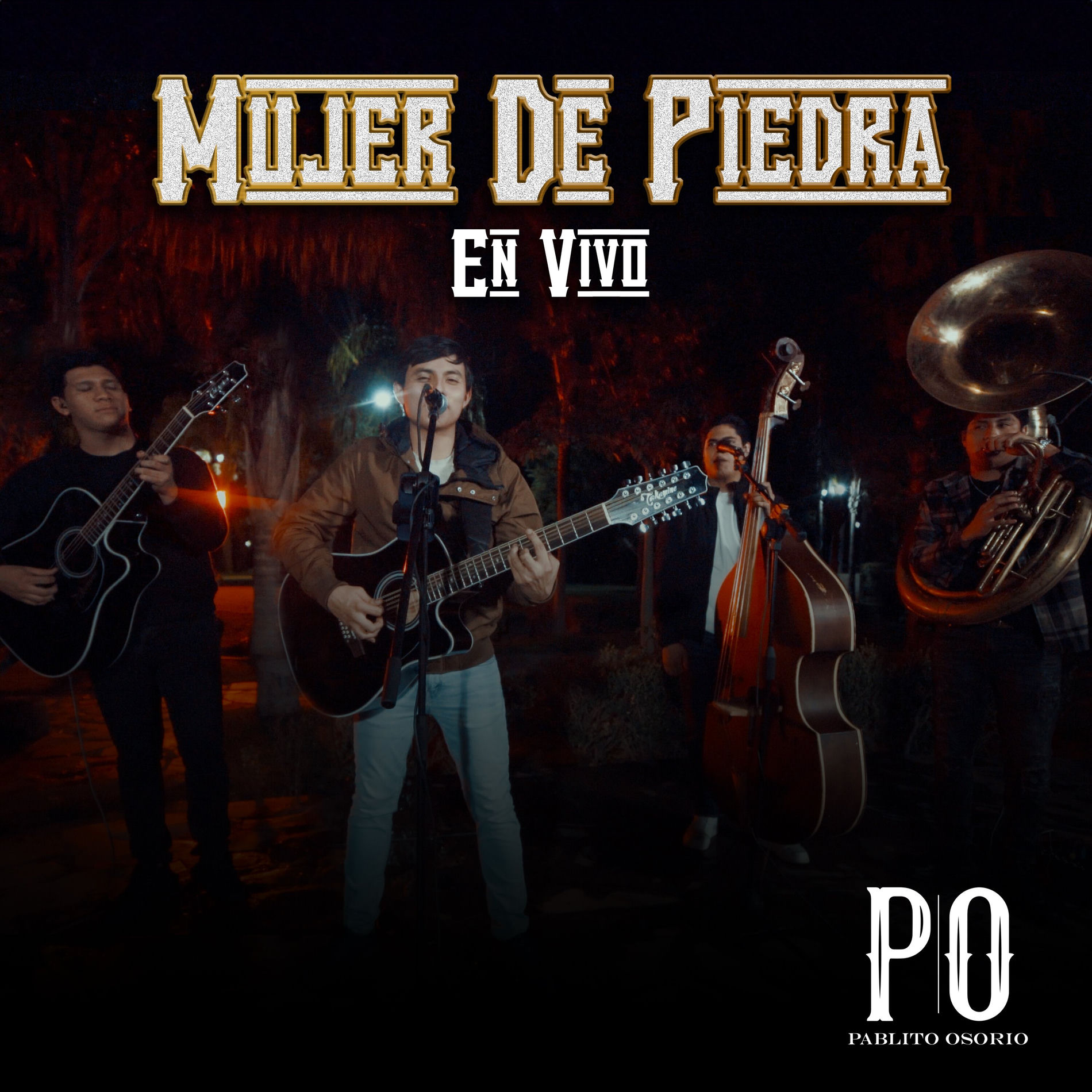 Album cover of Mujer De Piedra