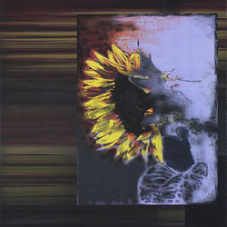 Cover of Awful Joy