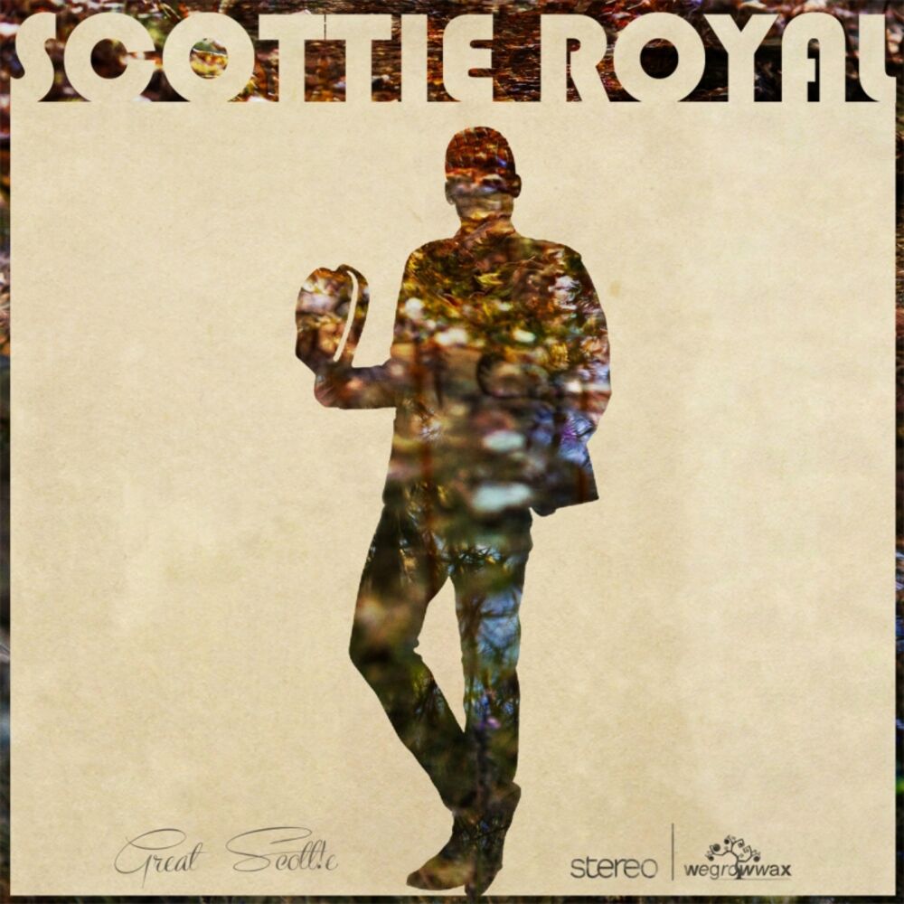 Picture of Great Scottie