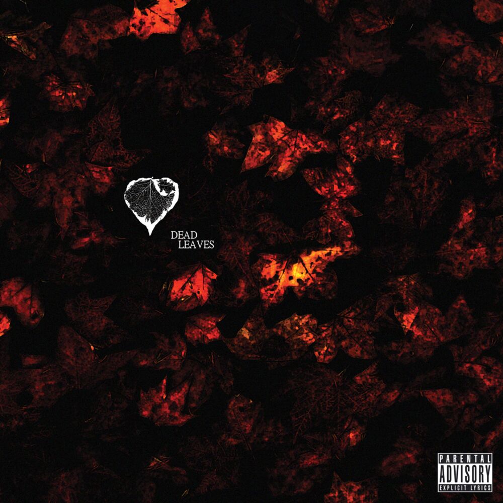 Picture of Dead Leaves