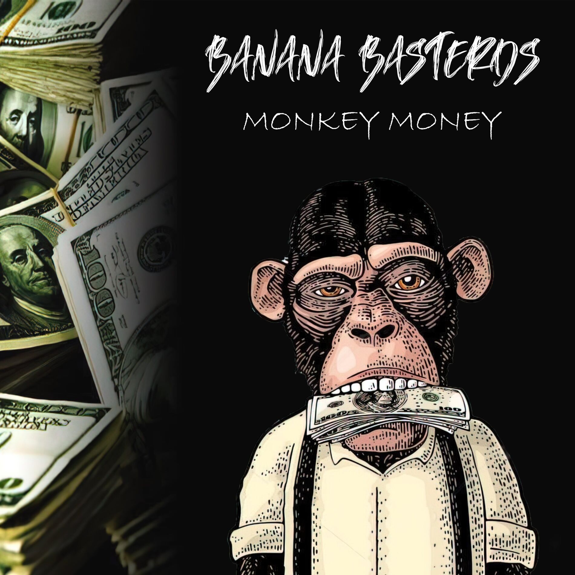 Album cover of Monkey Money
