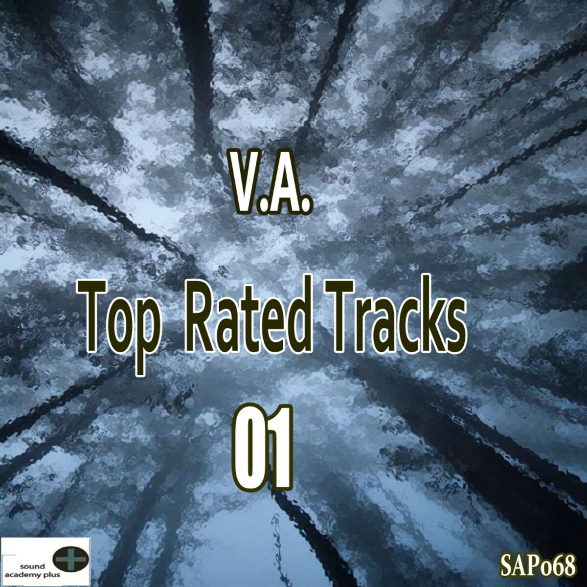 Album cover of Top Rated Tracks 01