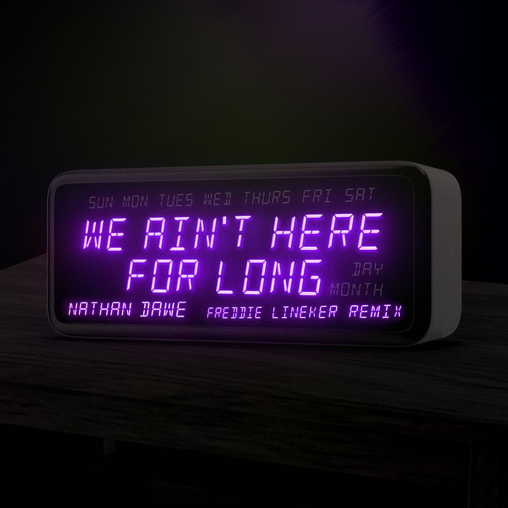 We Ain't Here For Long (Freddie Lineker Remix) album cover