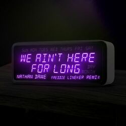 Cover of We Ain't Here For Long (Freddie Lineker Remix)