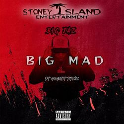 Cover of Big Mad (feat. Gogetit Twinz)