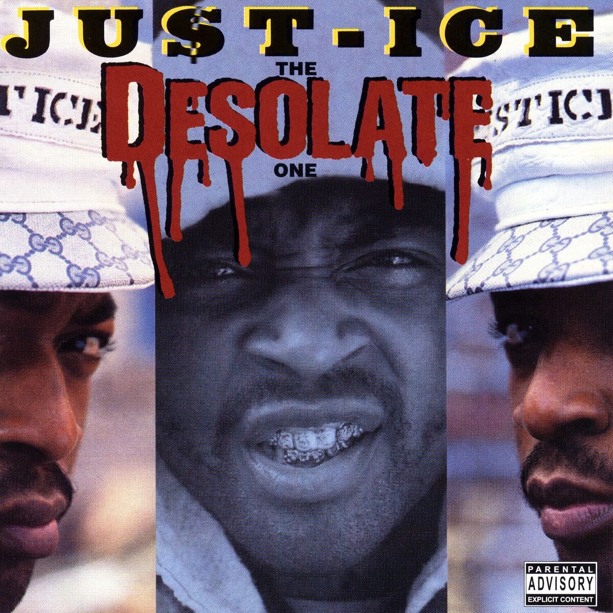 Album cover of The Desolate One
